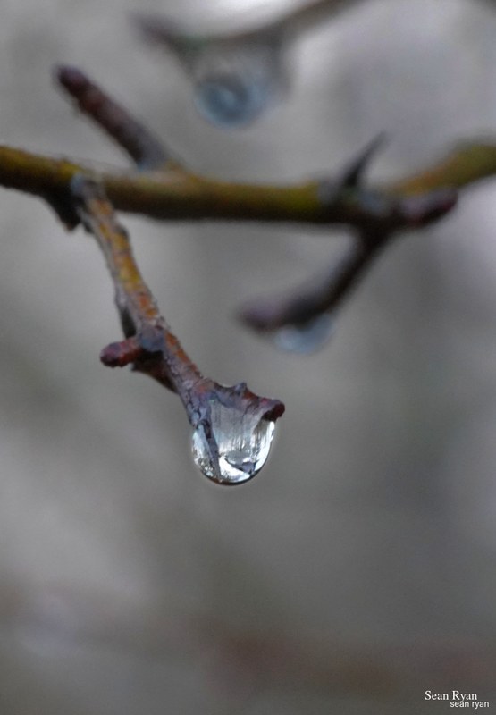 Macro Water (close-ups Of Water Drops) - SA706022.needs-editted