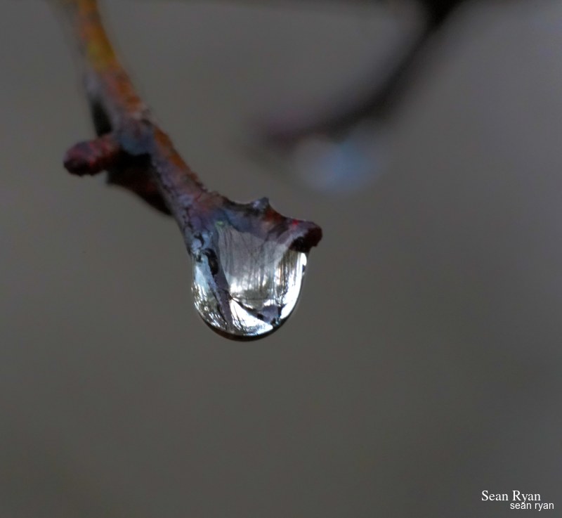 Macro Water (close-ups Of Water Drops) - Every Day Photos