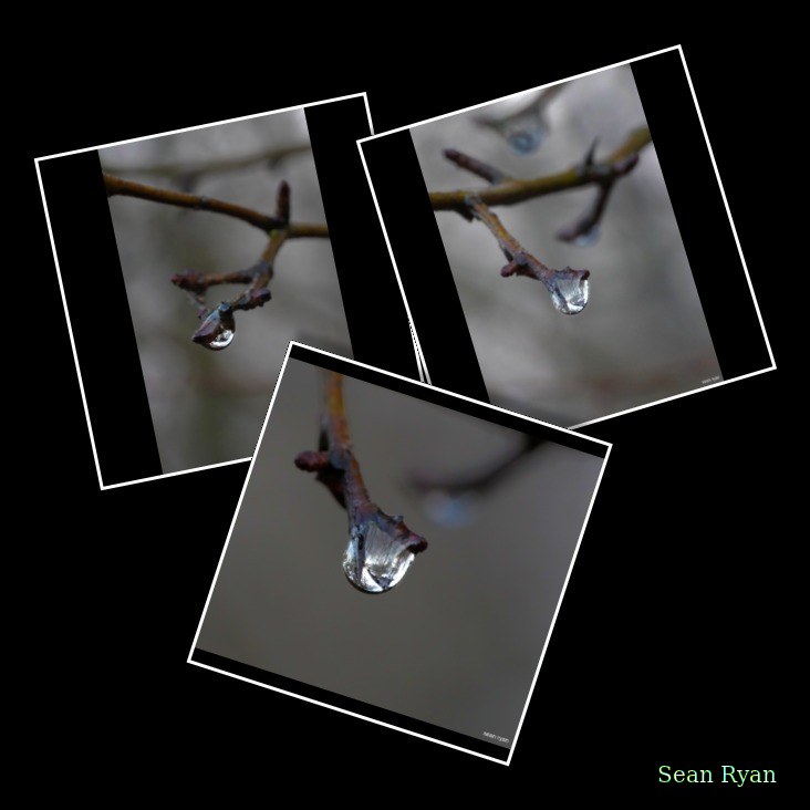 Macro Water (close-ups Of Water Drops)