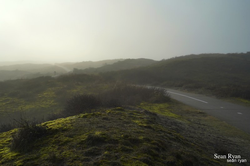 Dunes By Day-light Fog - SA705950.ok_.editted