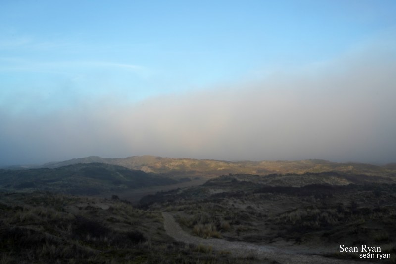 Dunes By Day-light Fog - SA705983.editted