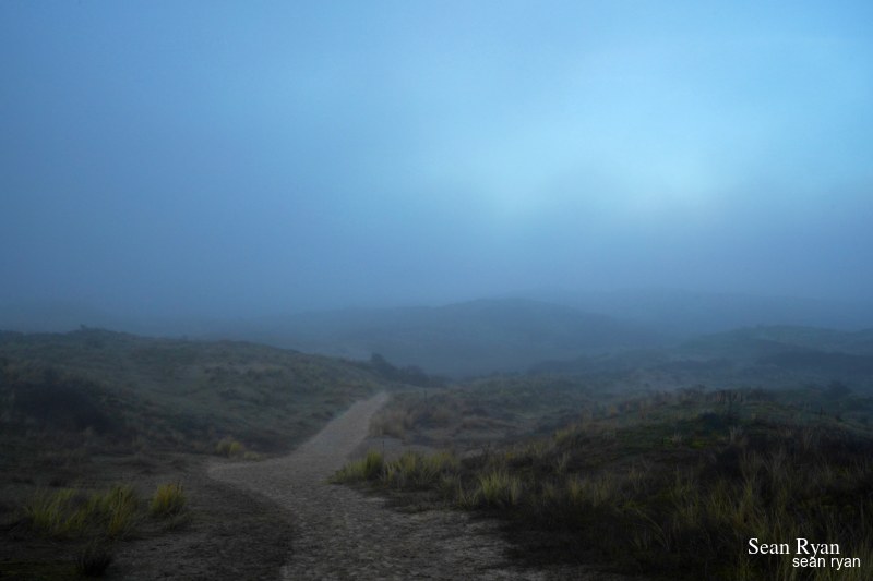 Dunes By Day-light Fog - SA705988.editted