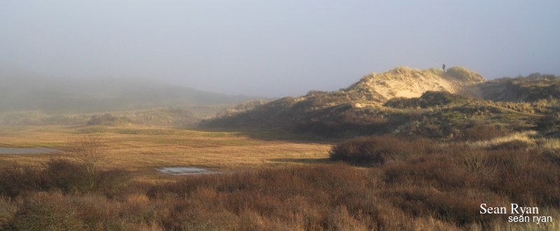 Dunes By Day-light Fog - Every Day Photos