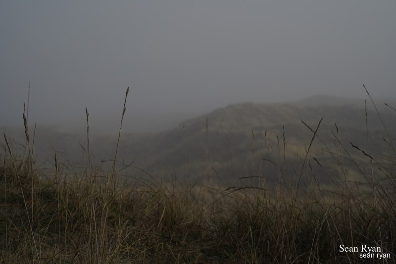 Foggy Dunes Of Meijendel - SA705933.ok_.editted