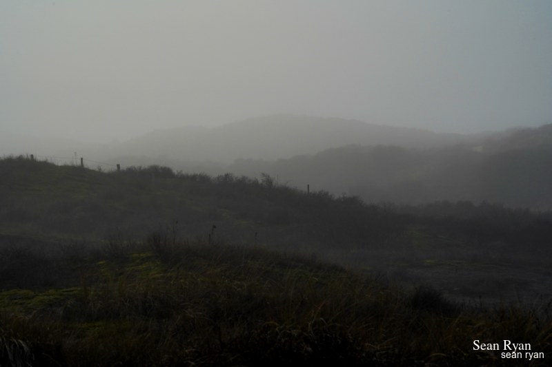 Foggy Dunes Of Meijendel - SA705935.ok_.editted