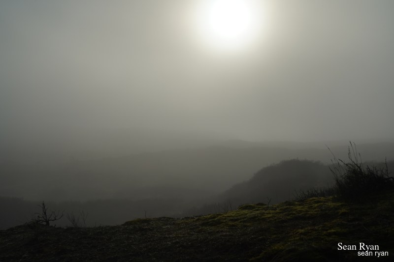 Foggy Dunes Of Meijendel - SA705942.ok_.editted