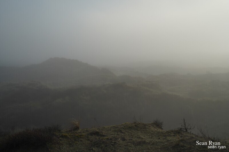 Foggy Dunes Of Meijendel - SA705949.ok_.editted