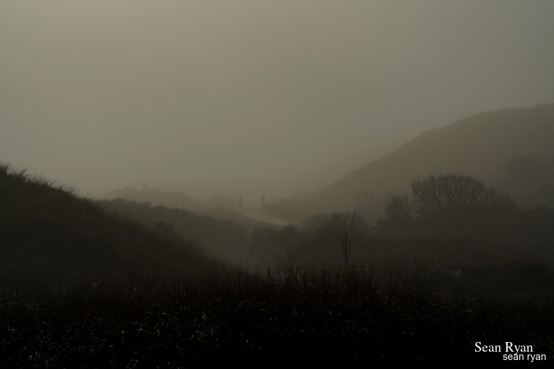 Foggy Dunes Of Meijendel - SA705961.ok_.editted