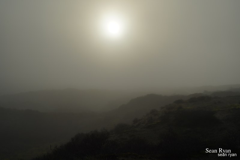 Foggy Dunes Of Meijendel - SA705975.ok_.editted
