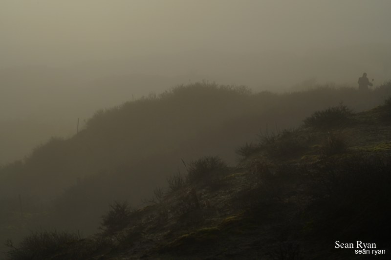 Foggy Dunes Of Meijendel - SA705979.ok_.editted